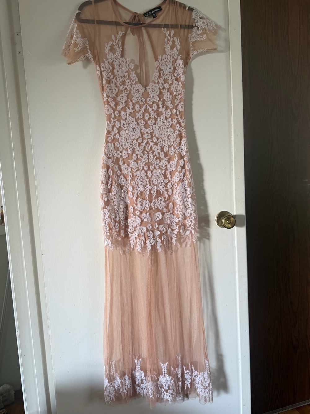 For Love and Lemons Sheer Lace Maxi Dress in White/Nude